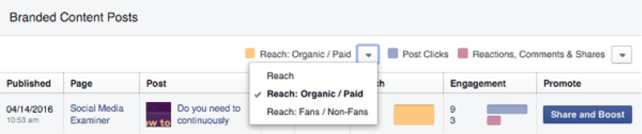 Branded Content Posts